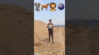 Bom PNG elephant horse lion tiger magic videovfx youtubeshorts youtube shortvideo shorts vfx [upl. by Ardnosak]