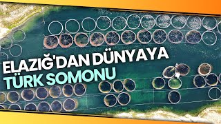 Türkiyenin Üretim Merkezi Elazığdan Dünyaya Türk Somonu İha [upl. by Emmye]