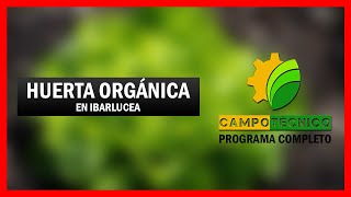 Visitamos la Huerta Sana Ibarlucea Huerta Orgánica  Campo Técnico [upl. by Yerhpmuh]