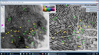 How to Compare Fingerprints  Examples 13 [upl. by Amye744]