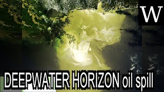 DEEPWATER HORIZON oil spill  Documentary [upl. by Madeleine603]