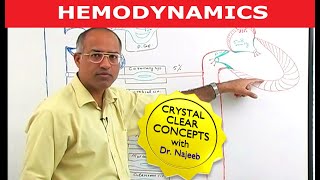 Hemodynamics  Circulatory System Physiology [upl. by Enomal]