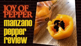 Manzano Pepper — Pepper Pod Review [upl. by Droc]