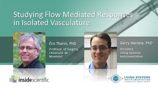 Studying Flow Mediated Responses in Isolated Vasculature [upl. by Anomis]