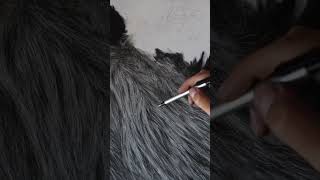 Drawing realistic fur using the indentation technique full tutorial on my channel realisticdrawing [upl. by Markland648]