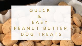 QUICK amp EASY PEANUT BUTTER DOG TREATS [upl. by Wendelin]