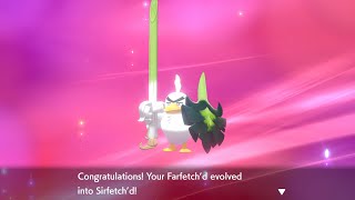 How to Evolve Galarian Farfetchd [upl. by Shelagh]