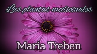 MARIA TREBEN y las plantas medicinales [upl. by Raybourne305]