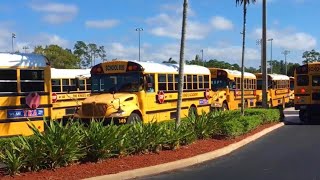 The Kings Academy  Largest Private School Bus Fleet [upl. by Ananna222]