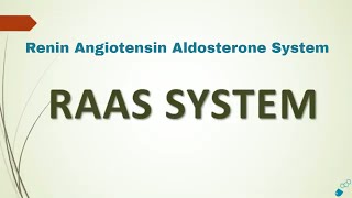 RAAS System  Renin Angiotensin Aldosterone System [upl. by Engracia303]