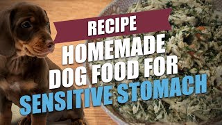 Homemade Dog Food for Sensitive Stomach Recipe for GI disorders [upl. by Halivah888]