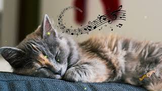 No Ads 10 Hrs Calming Music for Sensitive CatsWith Cats Purr Soothing HarpPanio Music for Cats [upl. by Flosi]