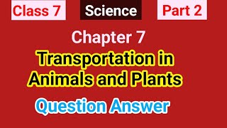 Class 7  Science  Part 2  Transportation in Animals and Plants QuestionandAnswer [upl. by Adnolehs]