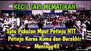 SATU PUKULAN HOOK KANAN KEJAM PETINJU NTT🥊PETINJU KOREA KOMA [upl. by Marou]