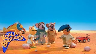 The Koala Brothers Neds Buried Treasure Childrens animation series [upl. by Towroy]