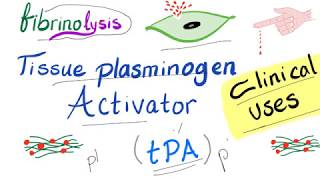 Tissue Plasminogen Activator tPA  Uses  Hematology  Pharmacology [upl. by Dareen]