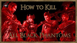 Demons Souls  How to kill all Black Phantoms  Easy Kill  Location [upl. by Rasmussen]