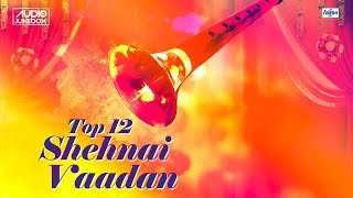 Shehnai Vadan Jukebox  Shehnai Instrumental Music  Indian Shehnai Music [upl. by Pain]