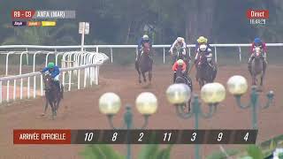 Live Hippodrome « CASABLANCA »  Courses du « 08112024 » [upl. by Love]