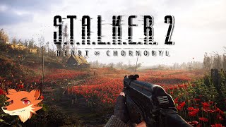 STALKER 2  LIVE  Ca y est On part explorer la zone dexclusion de Chronobyl [upl. by Liartnod777]