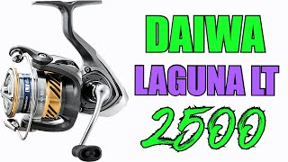 GUARDA questo VIDEO PRIMA di COMPRARE questo MULINELLO Daiwa Ninja 23 LT [upl. by Conal618]