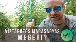 Víztározós magaságyás megéri  2 hónappal később [upl. by Ialda453]