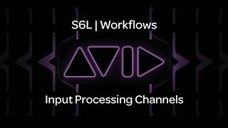 VENUE  S6L — Input Processing Channels [upl. by Emile]