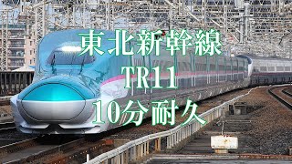 【耐久】東北新幹線TR1110分耐久 [upl. by Adiraf604]