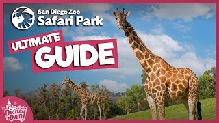 San Diego Zoo Safari Park Tour 2022  All Animals Exhibits amp More [upl. by Narf476]