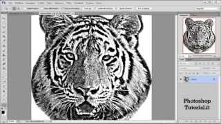Trasformare la foto in stampa serigrafica con Photoshop [upl. by Merl]
