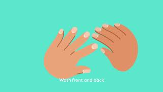 8 steps to hand washing [upl. by Artened]