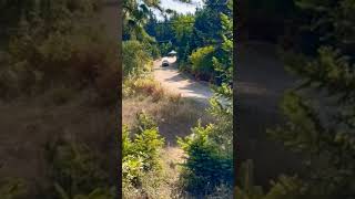 Acropolis Rally Greece 2024 Start Stage [upl. by Myrtie]