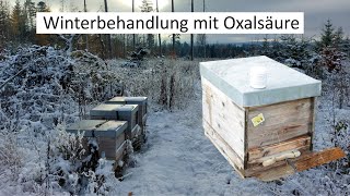 Winterbehandlung mit Oxalsäure [upl. by Ahsieat]