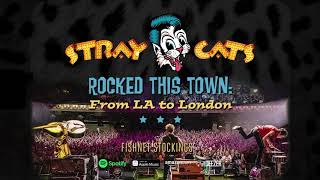 Stray Cats  Fishnet Stockings LIVE [upl. by Aramaj]