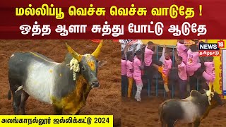 மல்லிப்பூ வெச்சு வெச்சு வாடுதே   சுத்து போட்டு ஆடுதே  Kattapa Kalai  Alanganallur Jallikattu [upl. by Bale326]