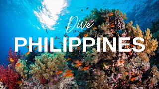 Scuba Diving in Tubbataha Reef Philippines [upl. by Pahl]