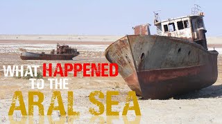 The Aral Sea Catastrophe Explained [upl. by Eniamret]