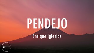 Enrique Iglesias  PENDEJO English amp Spanish Lyrics [upl. by Larrej363]