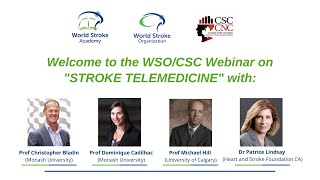 WSOCSC webinar Stroke Telemedicine [upl. by Ylecara]