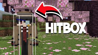 Hitbox texture pack for Minecraft BedrockPE [upl. by Dichy]