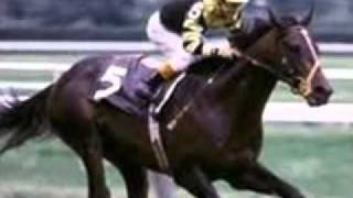 Top Ten greatest Racehorses of all time read description [upl. by Davita]