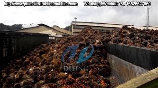 30tpd palm oil mill plantpalm oil processing plantpalm oil extraction process [upl. by Odnalro]