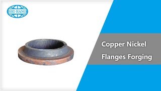 Copper Nickel Flange Forging  SHIHANG [upl. by Wallas]