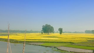 Jamalpur  Village  Travel [upl. by Epotimet]