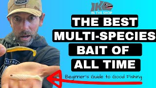 The BEST Multispecies LURE of ALL TIME Beginners Guide to Good Fishing [upl. by Curnin497]