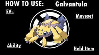 Competitive Guides How To Use Galvantula [upl. by Onilegna]