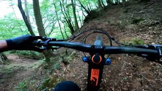 Gwydir and Marin off piste trails conwy mountain biking raw [upl. by Walrath]