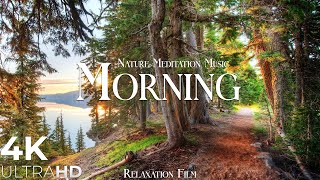 Morning Nature  Relaxation Film  Peaceful Relaxing Music  4k Video UltraHD [upl. by Nomaid]