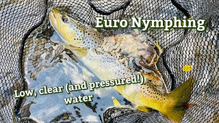 EURO NYMPHING low clear and pressured water [upl. by Asiat]