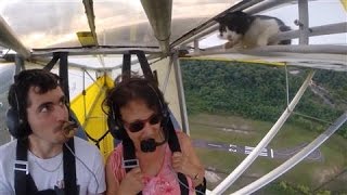 Cat Flying on Plane Shocks Pilot in Midair [upl. by Satterlee125]